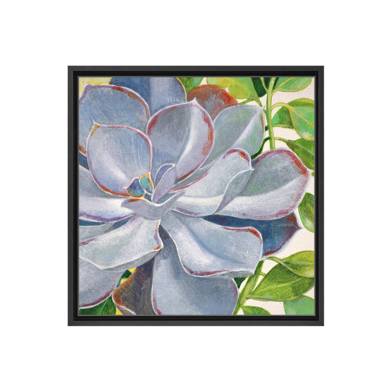 Brilliant Succulents III Framed Canvas Wall Art