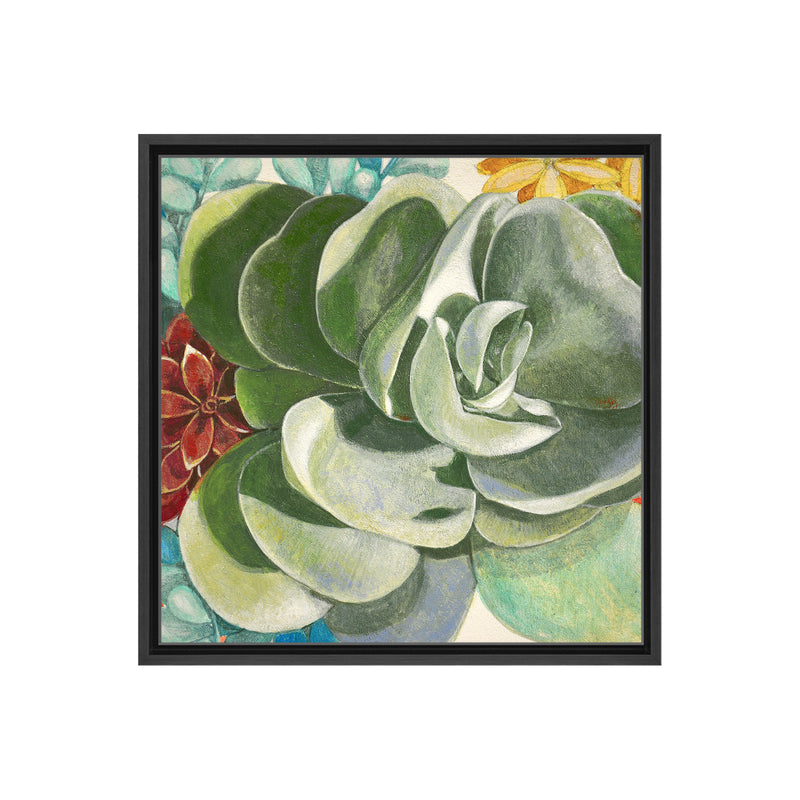 Brilliant Succulents IV Framed Canvas Wall Art