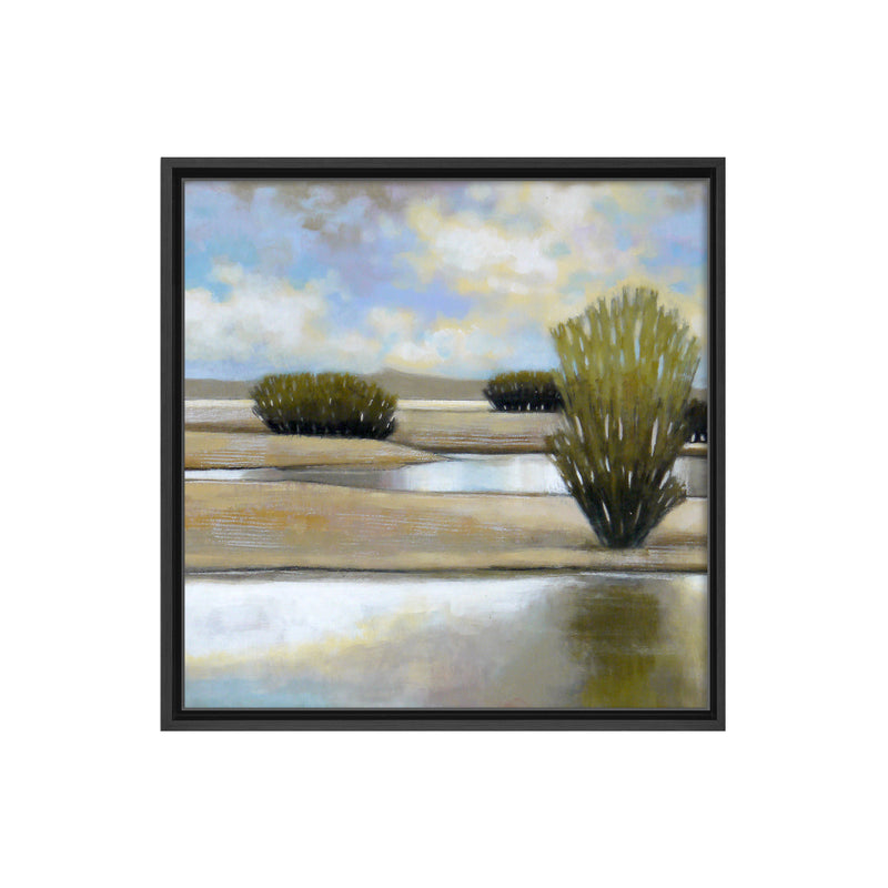 Desert Pools II Framed Canvas Wall Art