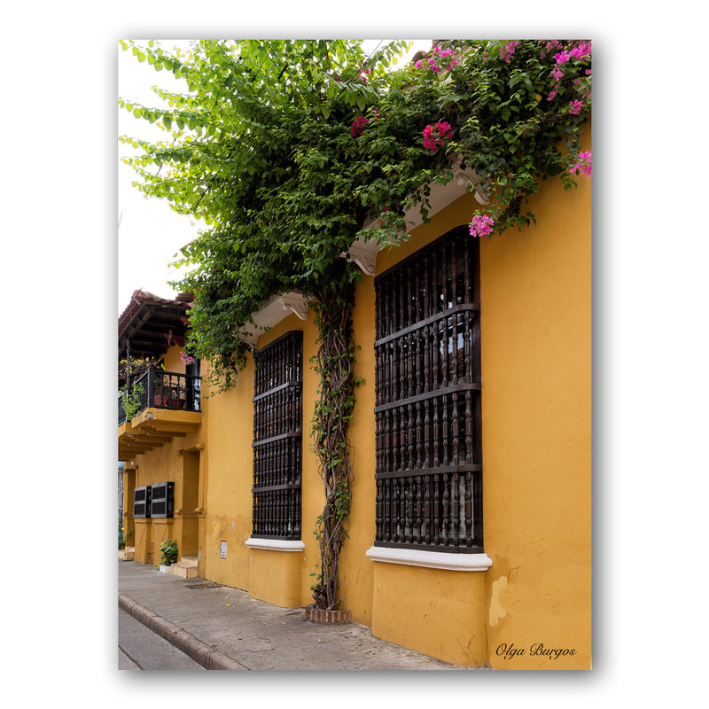 Indoor/Outdoor Wall Décor 'Provincial V' in ArtPlexi