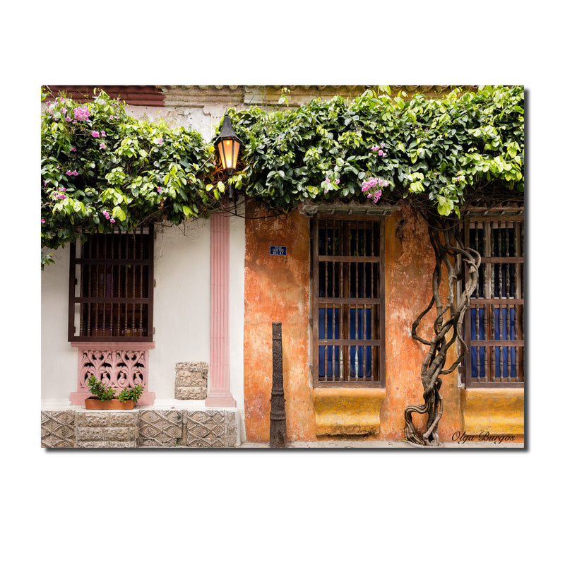 Indoor/Outdoor Wall Décor 'Provincial X' in ArtPlexi