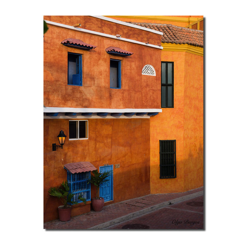 Indoor/Outdoor Wall Décor 'Provincial XI' in ArtPlexi