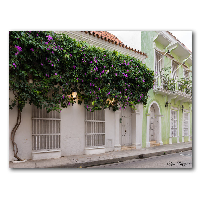 Indoor/Outdoor Wall Décor 'Provincial XIII' in ArtPlexi