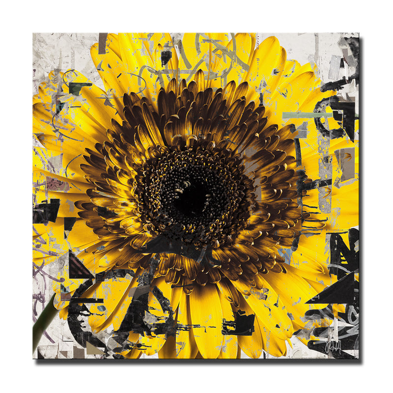 Painted Petals CIII' Wrapped Canvas Wall Art