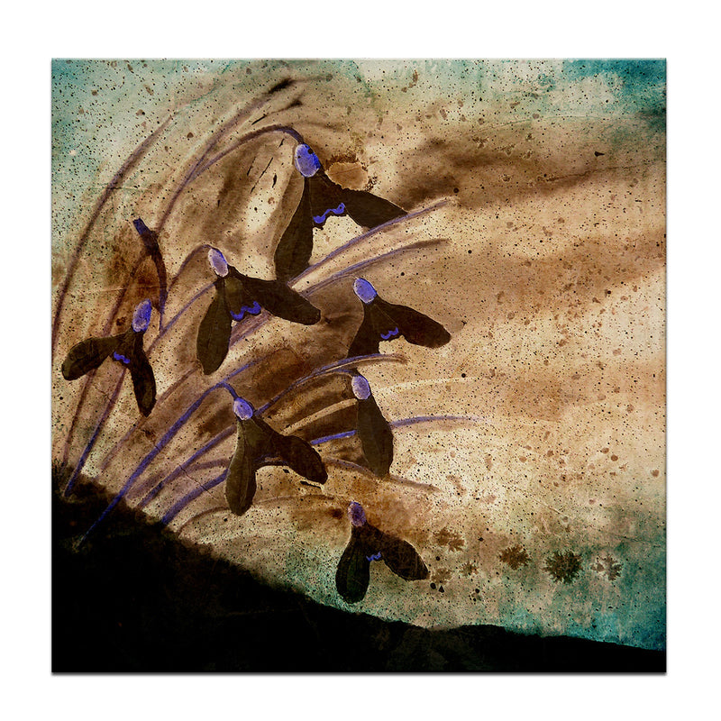 Painted Petals XIV' Wrapped Canvas Wall Art