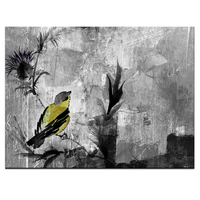 Painted Petals XVI' Wrapped Canvas Wall Art