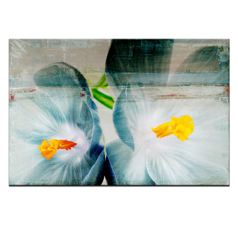 Painted Petals XX' Wrapped Canvas Wall Art