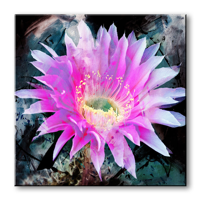 Painted Petals XLI' Canvas Wall Art