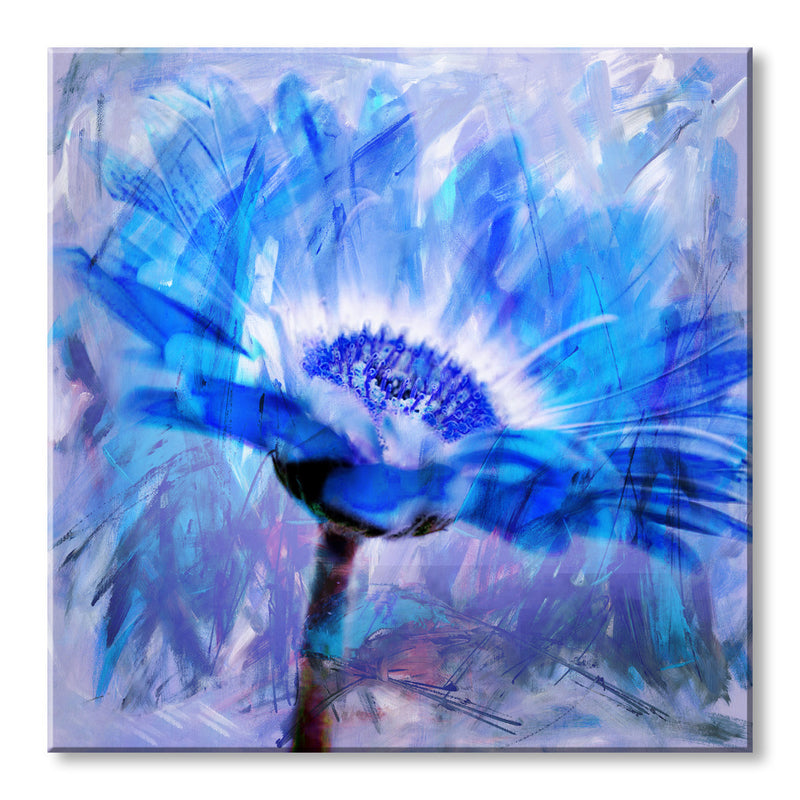 Painted Petals XLII' Canvas Wall Art