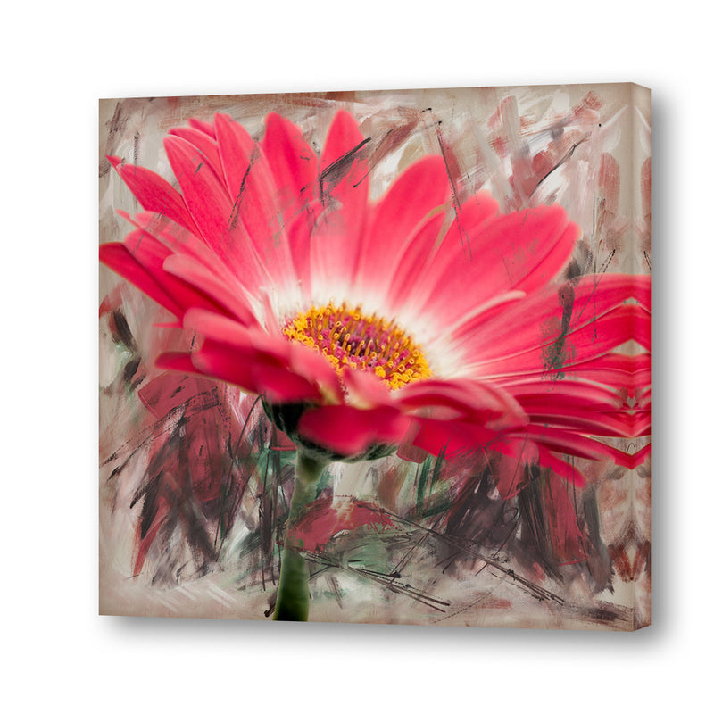 Painted Petals XLIII' Canvas Wall Art