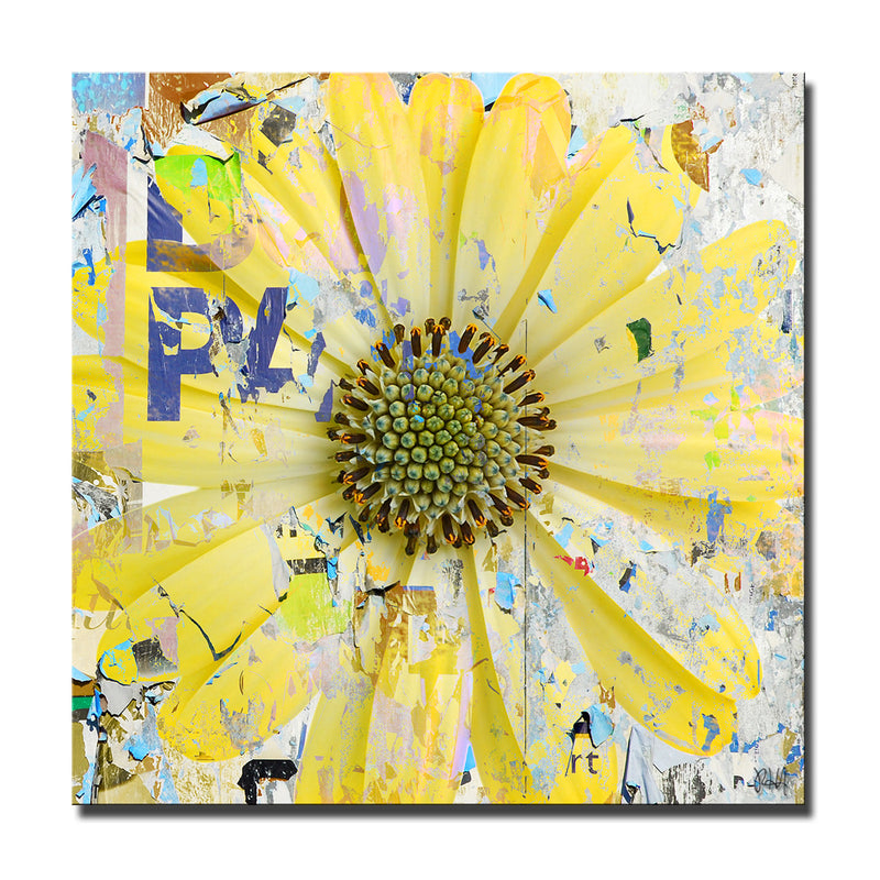 Painted Petals LXIX' Wrapped Canvas Wall Art