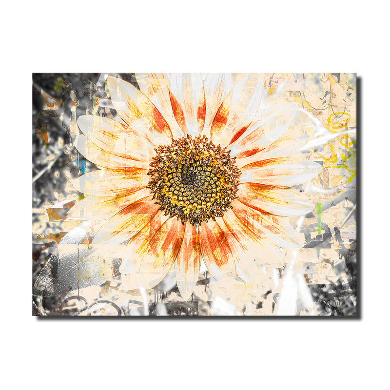 Painted Petals XC' Wrapped Canvas Wall Art