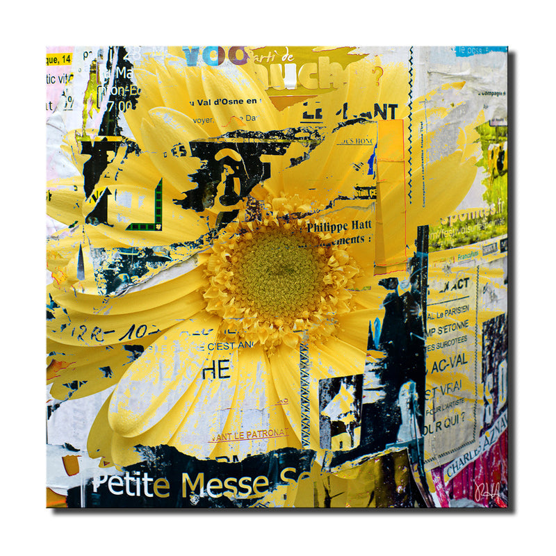 Painted Petals XCVI' Wrapped Canvas Wall Art