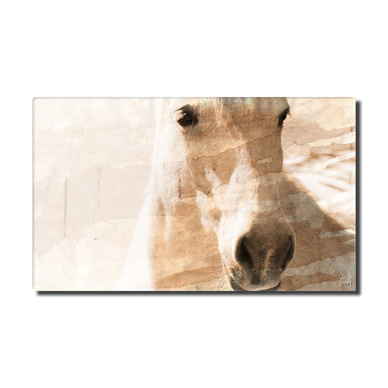 Equestrian Saddle Ink PSXI' Canvas Wall Art