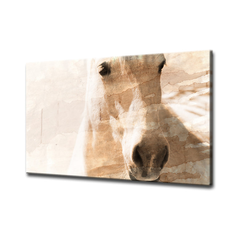 Equestrian Saddle Ink XI' ArtPlexi
