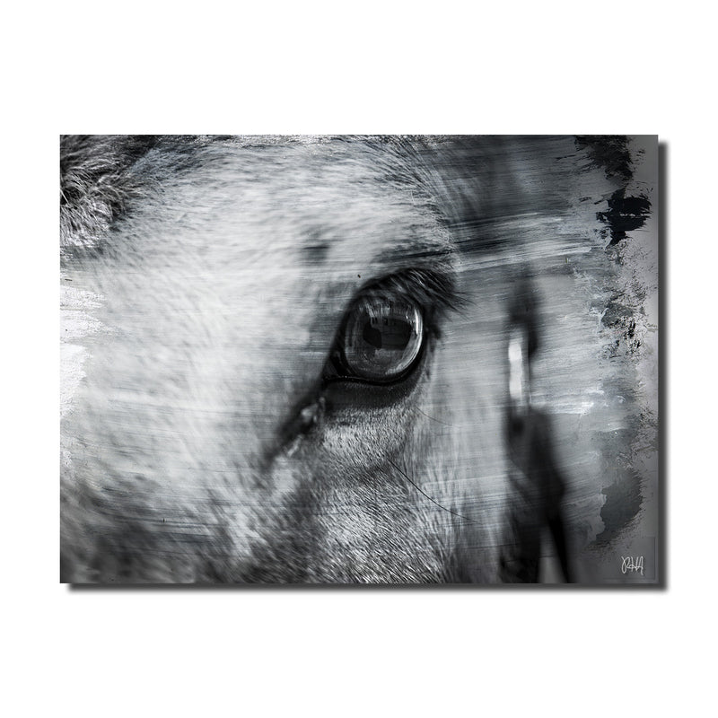 Equestrian Saddle Ink PSXII' Canvas Wall Art