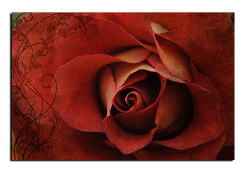 Roses are Red' Wrapped Canvas Wall Art