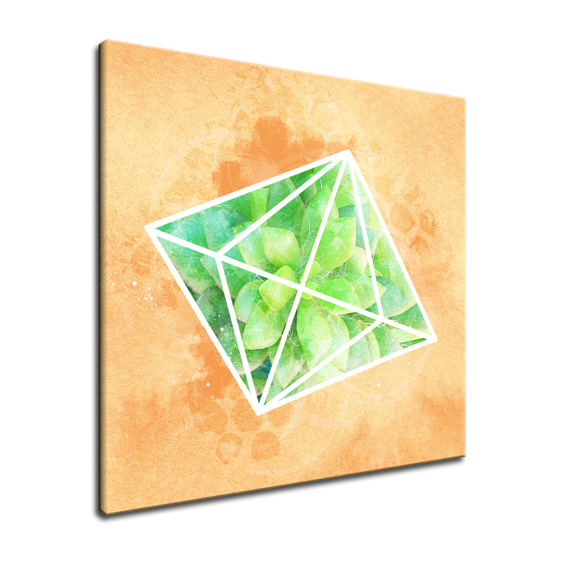 'Crystal Terrarium' Succulent Wall Art