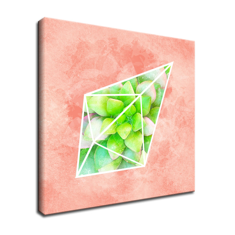 'Crystal Terrarium II'  Succulent Wall Art