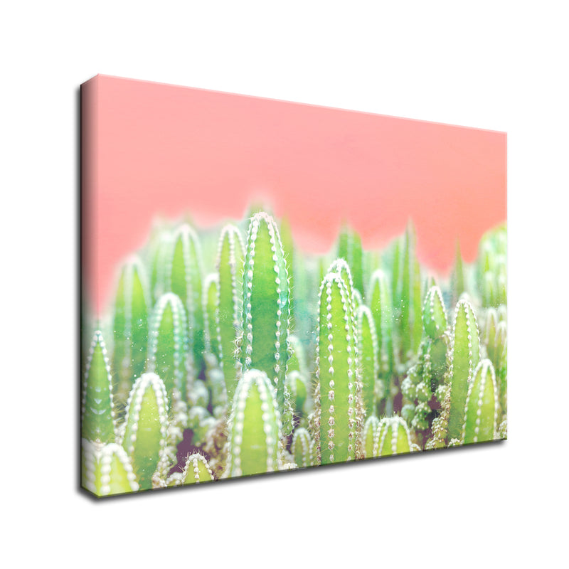 'Warm Thoughts' Succulent Wall Art