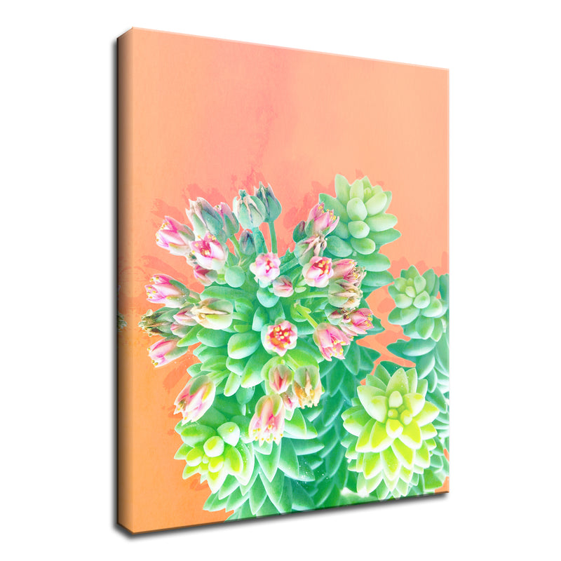 'Fresh Growth' Succulent Wall Art