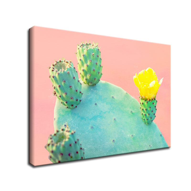 'Spike Yellow' Succulent Wall Art