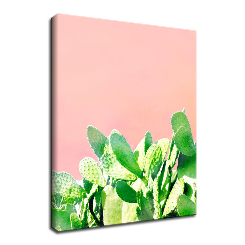 'Heat Rise' Succulent Wall Art