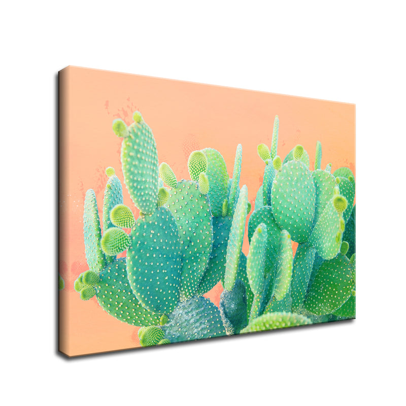 'Cacti Dream' Succulent Wall Art