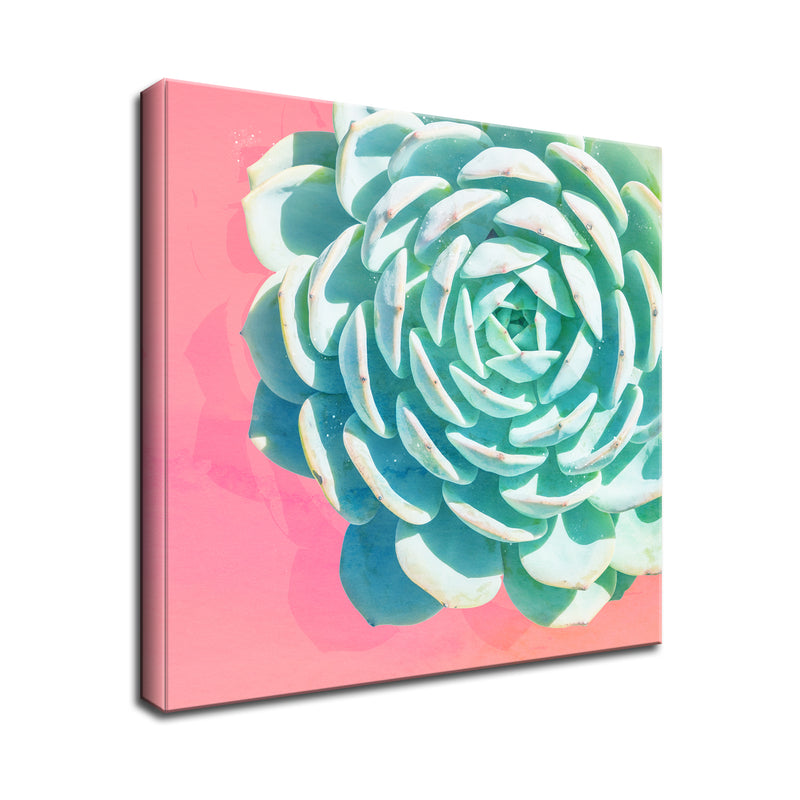 'Awaken II' Succulent Wall Art