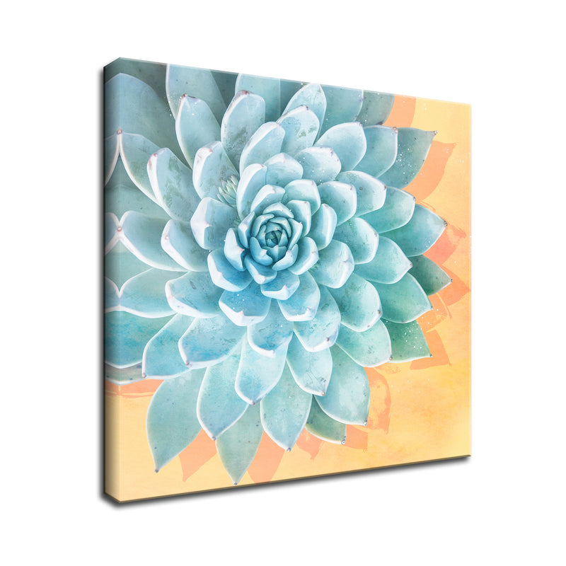 'Awaken III' Succulent Wall Art