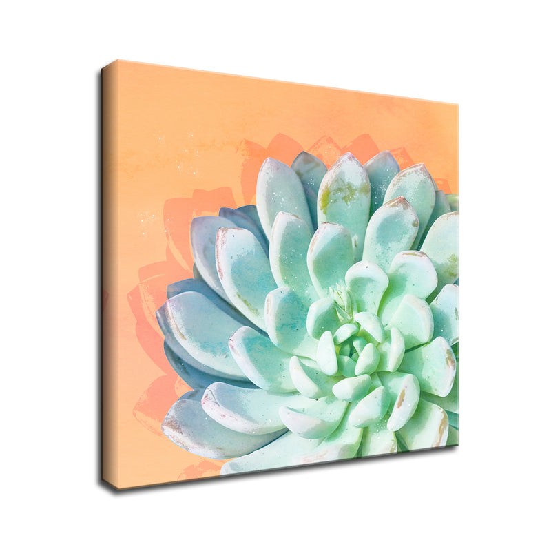 'Awaken IV'  Succulent Wall Art