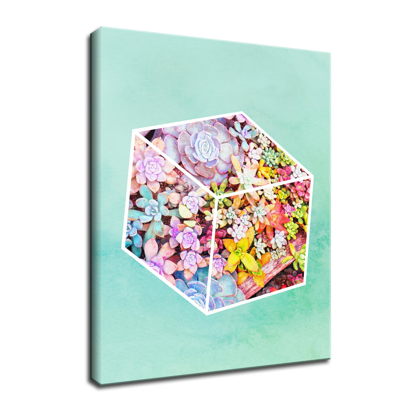 'Garden Cube' Succulent Wall Art