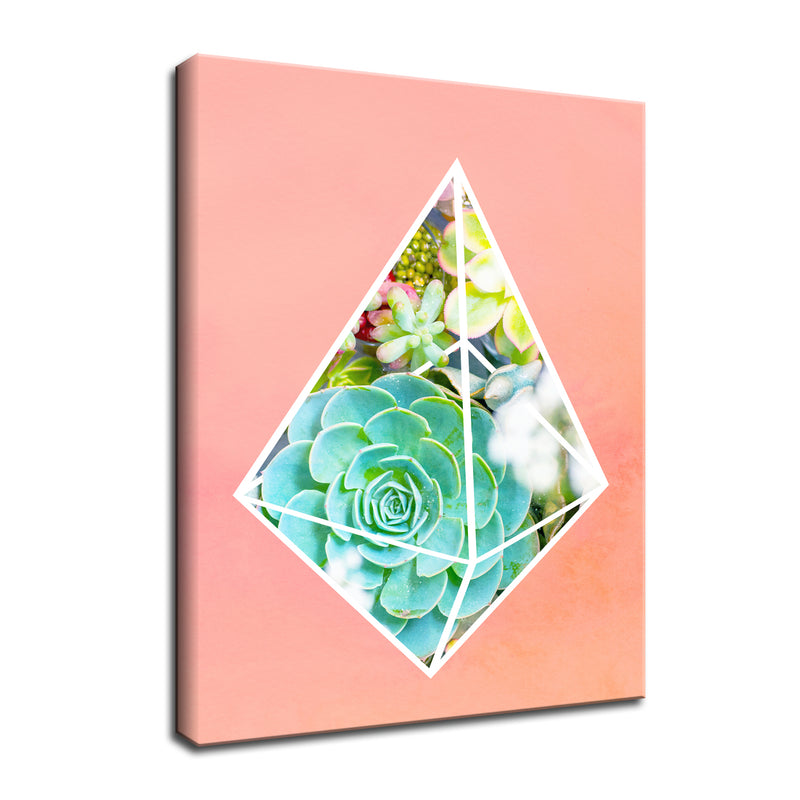 'Green Diamond' Succulent Wall Art