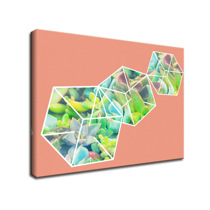 'Green Ice Dice' Succulent Wall Art