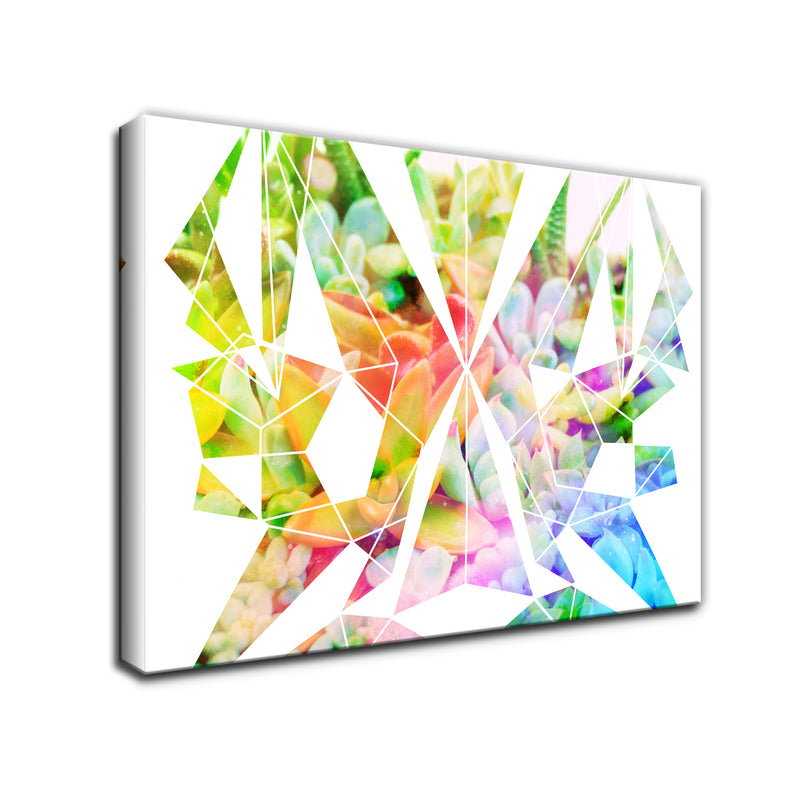 'Spectrum Prism' Succulent Wall Art