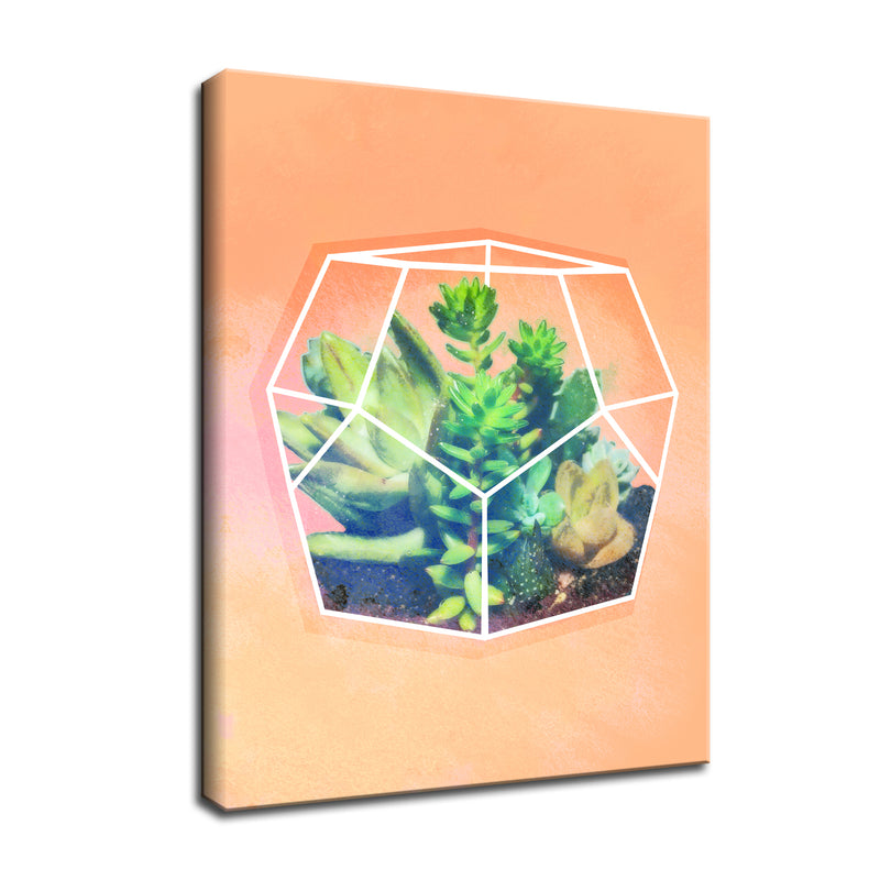 'Terrarium Orange'  Succulent Wall Art