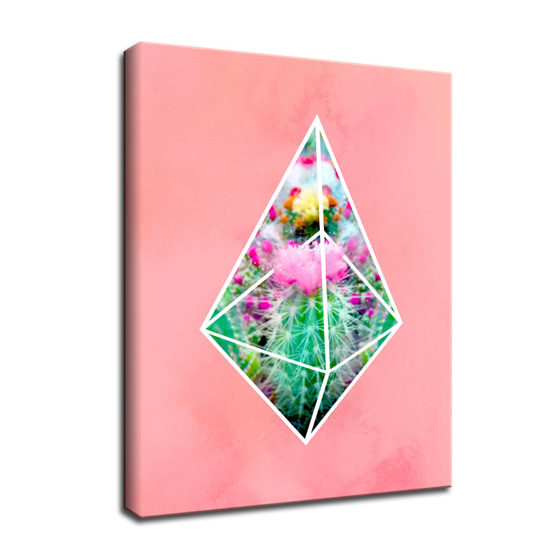 'Terrarium Pink' Succulent Wall Art