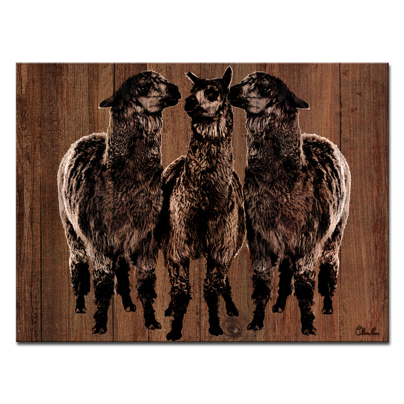 'Alpaca Trio' Wrapped Canvas Wall Art