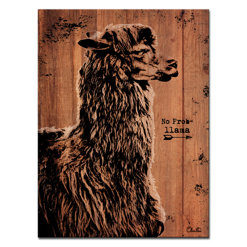 Llama' Wall Art