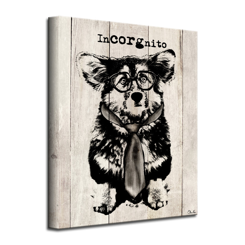 Incorgnito'  Dog Wall Art