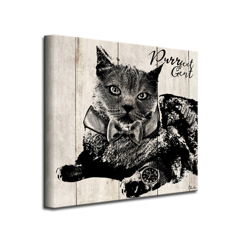 Purrfect Gent' Pet Wall Art