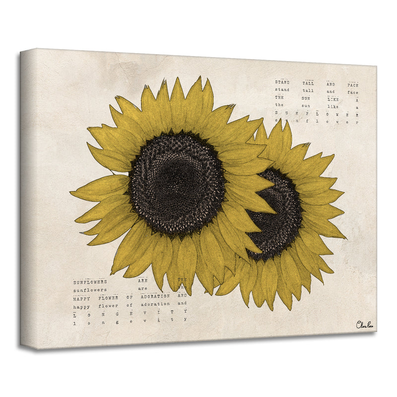 'Poetic Flora XIII' Wrapped Canvas Floral Wall Art