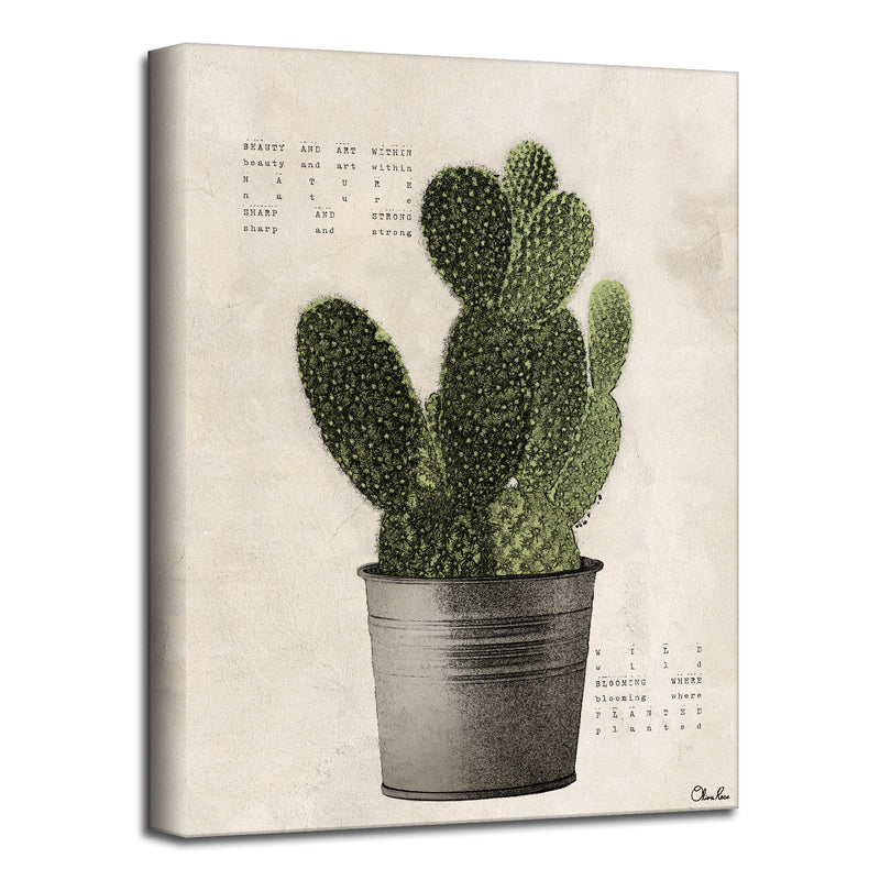 Poetic Flora XV'  Succulent Wall Art