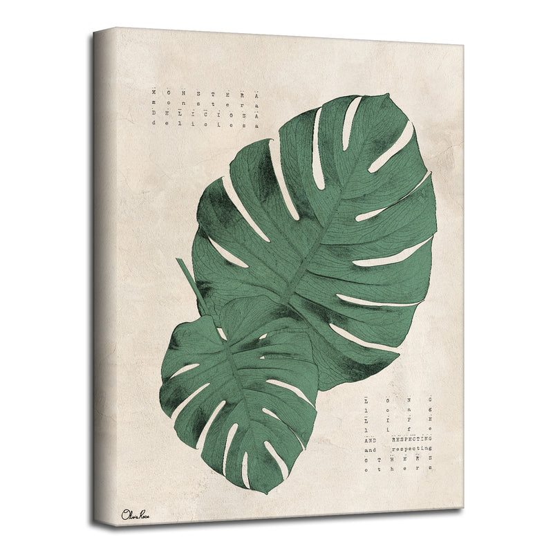 Poetic Flora XVI'  Floral Wall Art