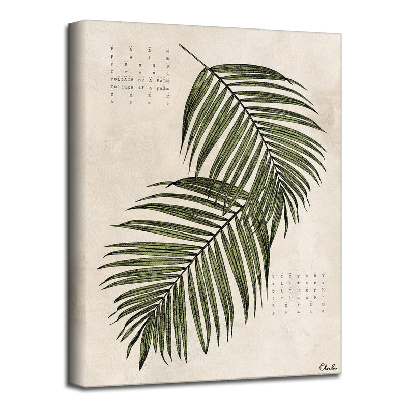 Poetic Flora XVII'  Botanical Wall Art