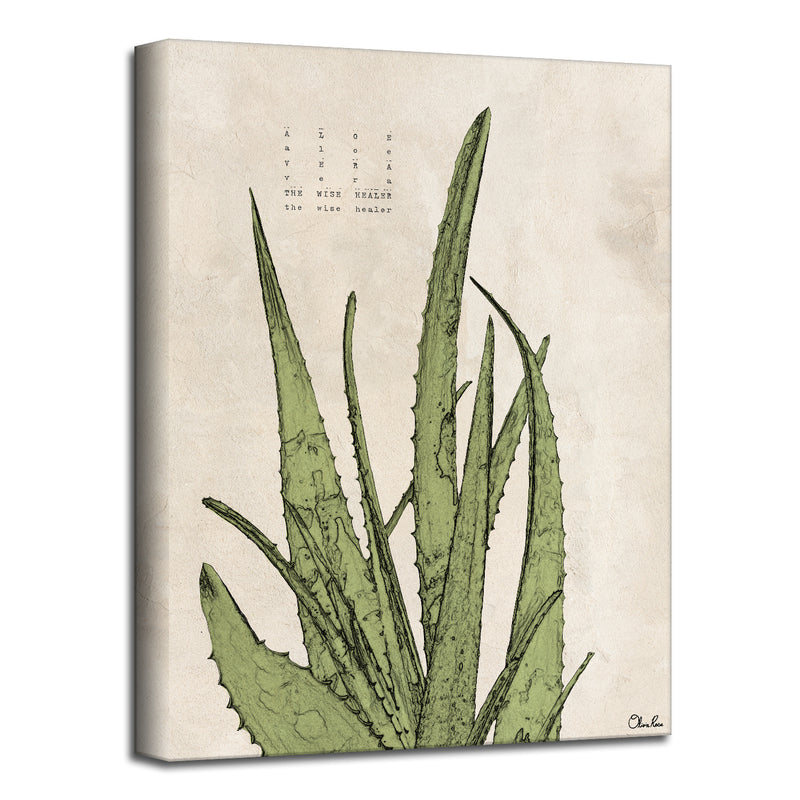 Poetic Flora XIX'  Botanical Wall Art