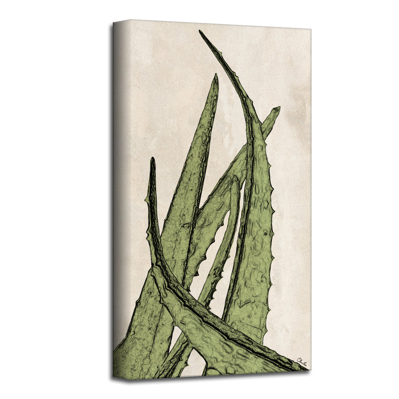 Poetic Flora XXXV'  Succulent Wall Art