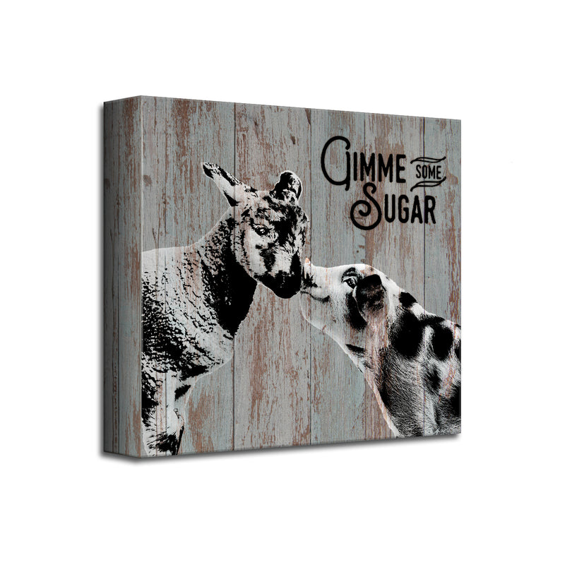 Sweet Sheep & Pig'  Wall Art