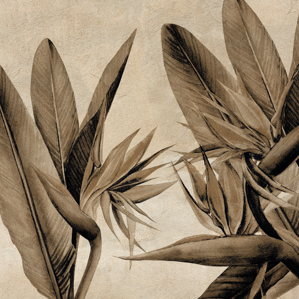 Botanical wall art collection featuring an array plants and flora captured in various art techniques and styles. Trees, flowers, succulents, and herbs to mention a few.