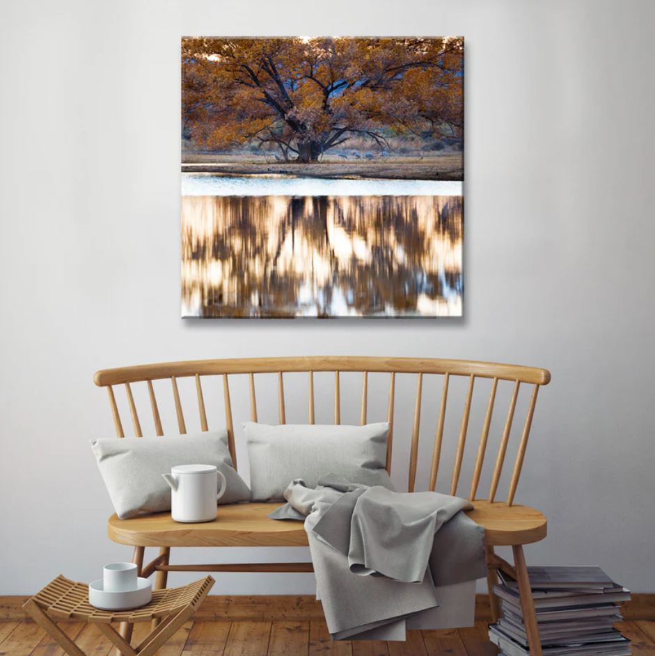 Wild Presence | Contemporary Animal Portraits for Modern Interiors